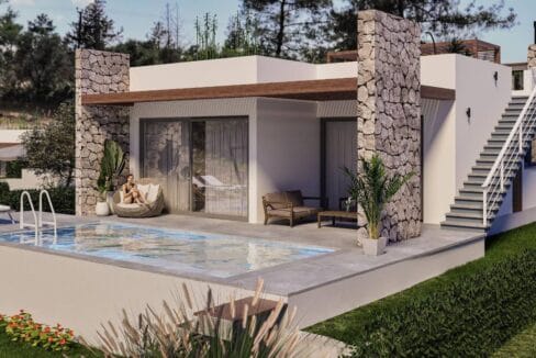 photo_2025-02-12_17-52-11