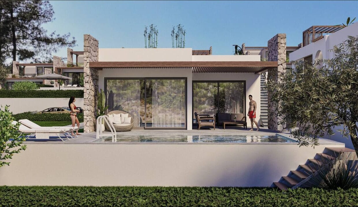 photo_2025-02-12_17-52-16 (2)