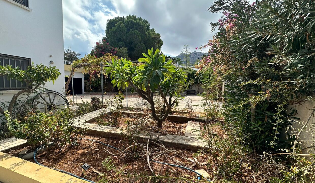 0997b9b2-1ffd-49ac-9f80-04d259d0f5f8