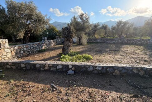 48e18259-3855-4ab0-ba37-24f443dcc632