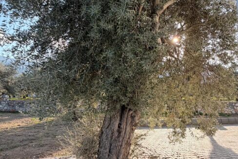 921c4ee7-5a2e-4169-8e1d-fe573577ff14