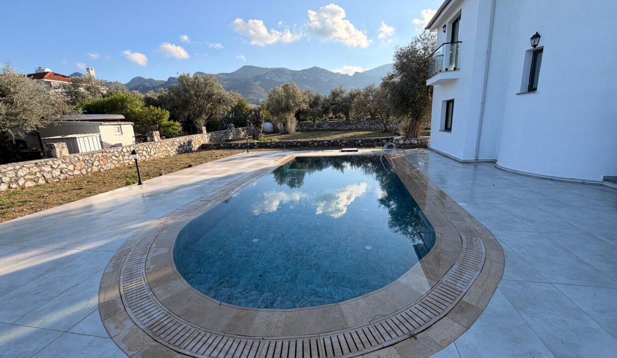 f1bf1537-1a5b-49c7-80e0-24a3789f5605