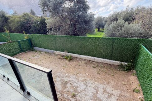 WhatsApp Image 2026-02-09 at 06.26.18 (3)